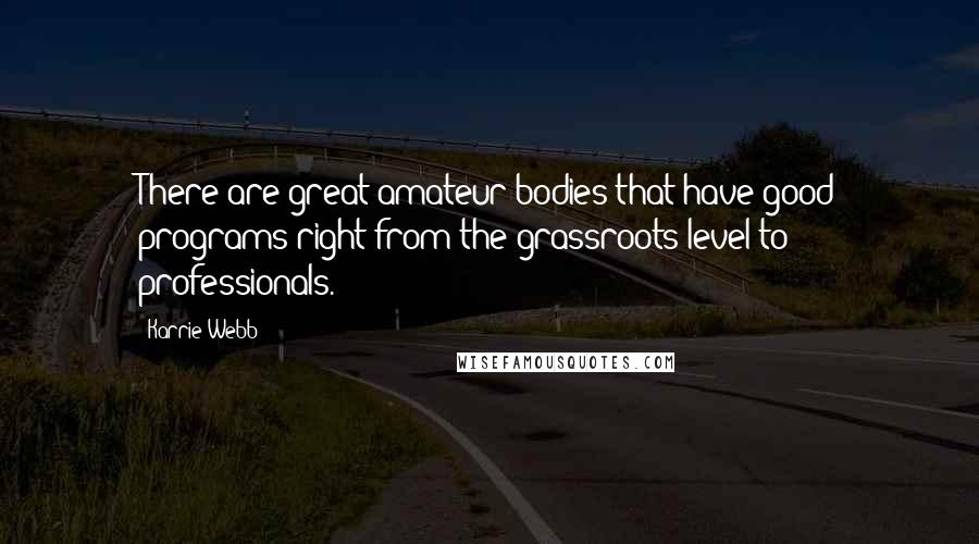Karrie Webb Quotes: There are great amateur bodies that have good programs right from the grassroots level to professionals.