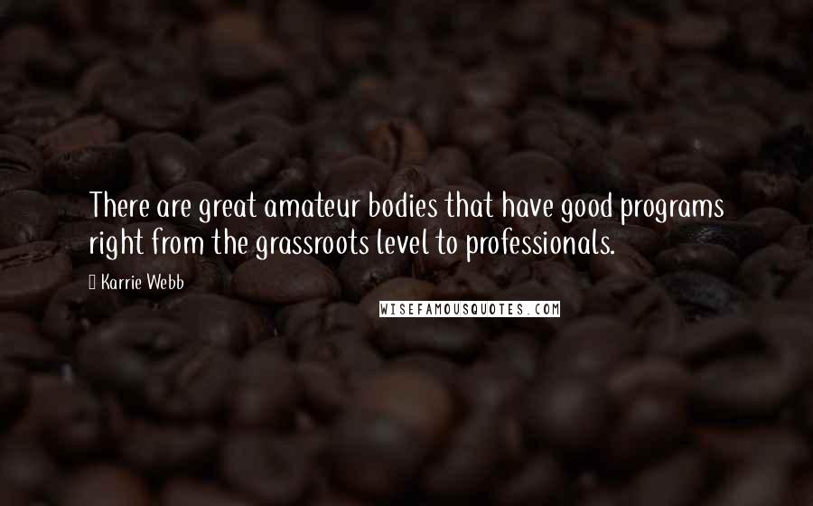 Karrie Webb Quotes: There are great amateur bodies that have good programs right from the grassroots level to professionals.