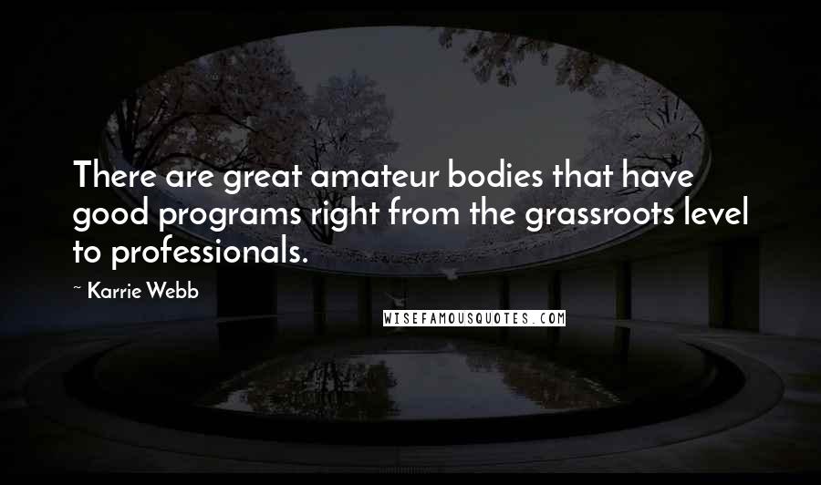 Karrie Webb Quotes: There are great amateur bodies that have good programs right from the grassroots level to professionals.
