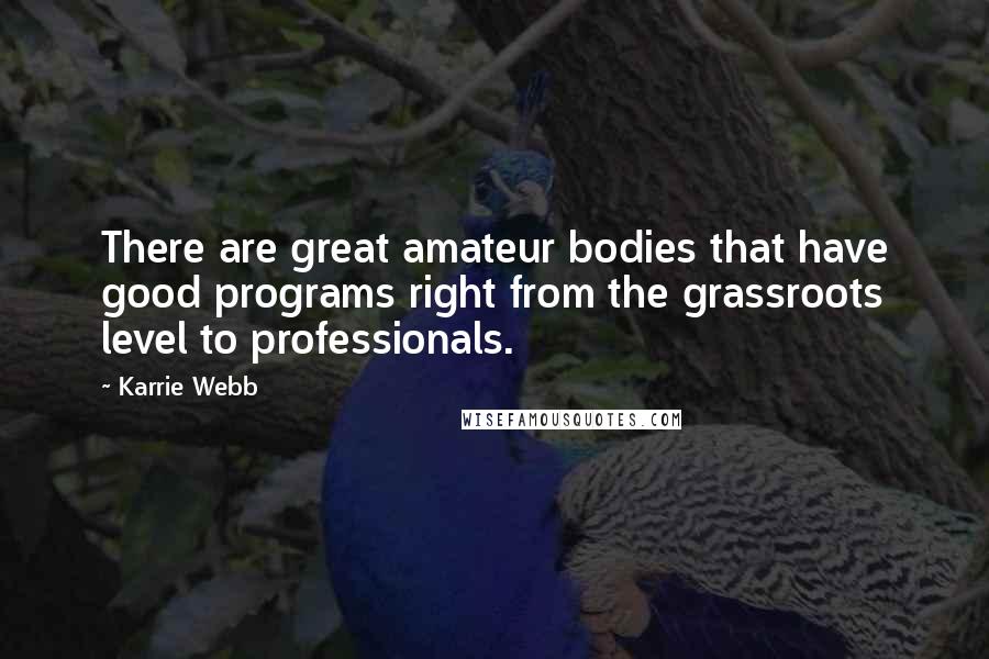 Karrie Webb Quotes: There are great amateur bodies that have good programs right from the grassroots level to professionals.