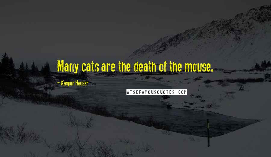 Kaspar Hauser Quotes: Many cats are the death of the mouse.
