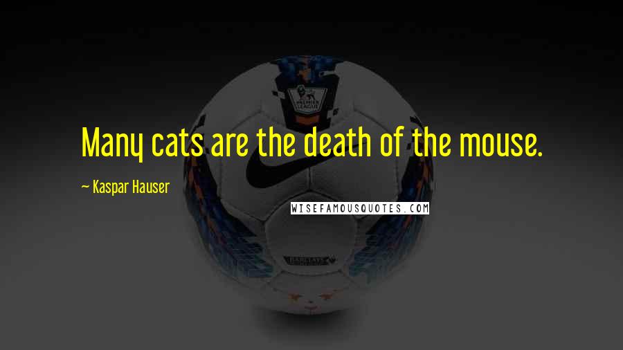 Kaspar Hauser Quotes: Many cats are the death of the mouse.