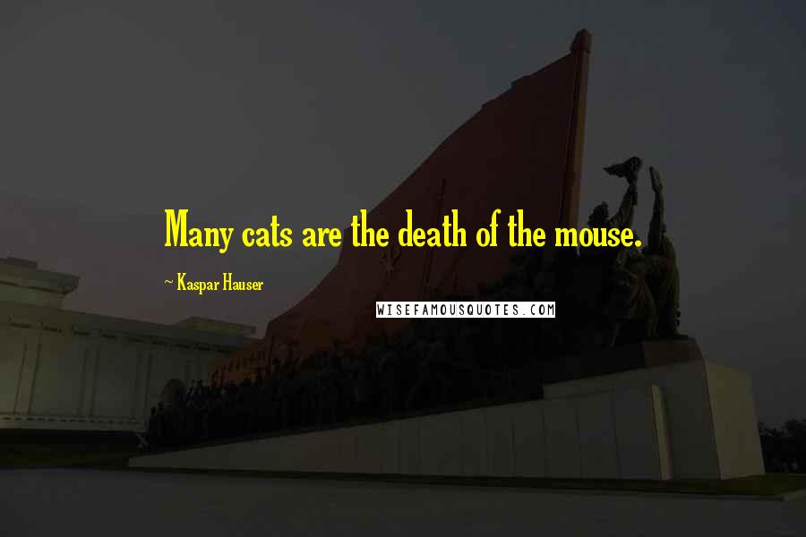 Kaspar Hauser Quotes: Many cats are the death of the mouse.