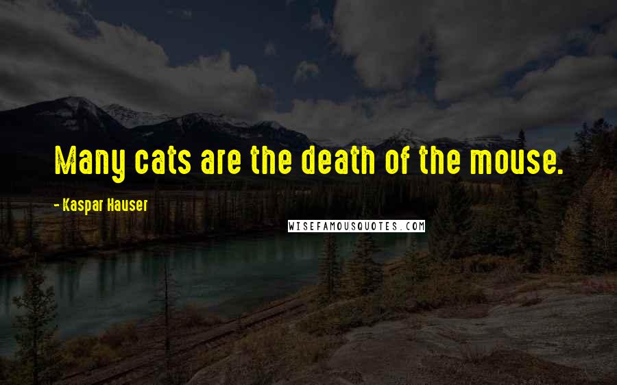 Kaspar Hauser Quotes: Many cats are the death of the mouse.