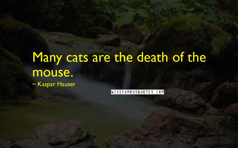 Kaspar Hauser Quotes: Many cats are the death of the mouse.