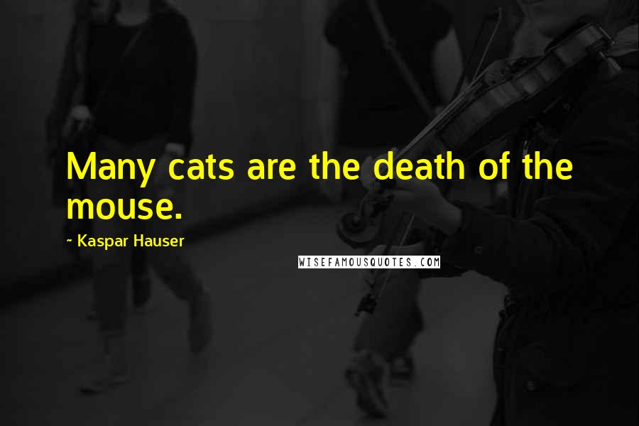 Kaspar Hauser Quotes: Many cats are the death of the mouse.