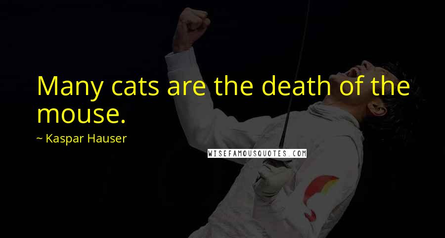 Kaspar Hauser Quotes: Many cats are the death of the mouse.