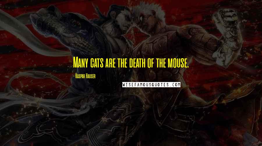 Kaspar Hauser Quotes: Many cats are the death of the mouse.