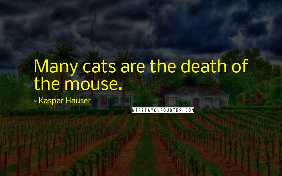 Kaspar Hauser Quotes: Many cats are the death of the mouse.
