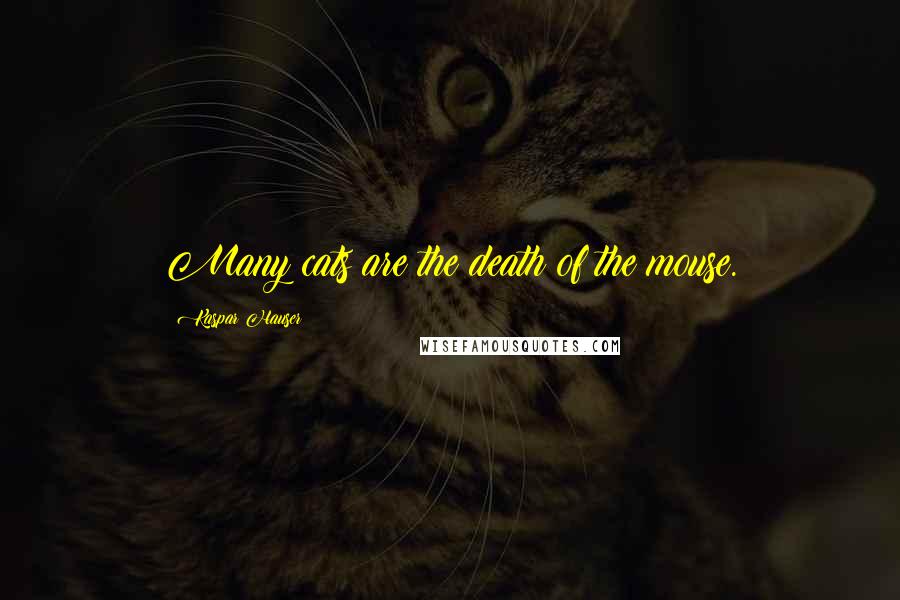 Kaspar Hauser Quotes: Many cats are the death of the mouse.