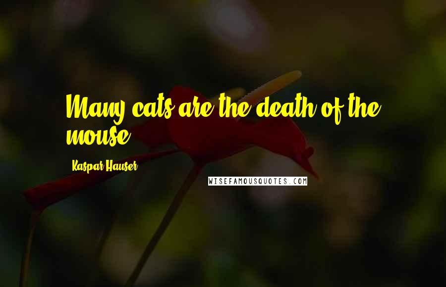Kaspar Hauser Quotes: Many cats are the death of the mouse.