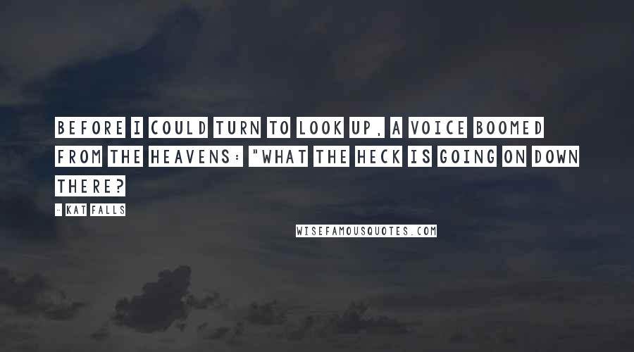 Kat Falls Quotes: Before I could turn to look up, a voice boomed from the heavens: "What the heck is going on down there?