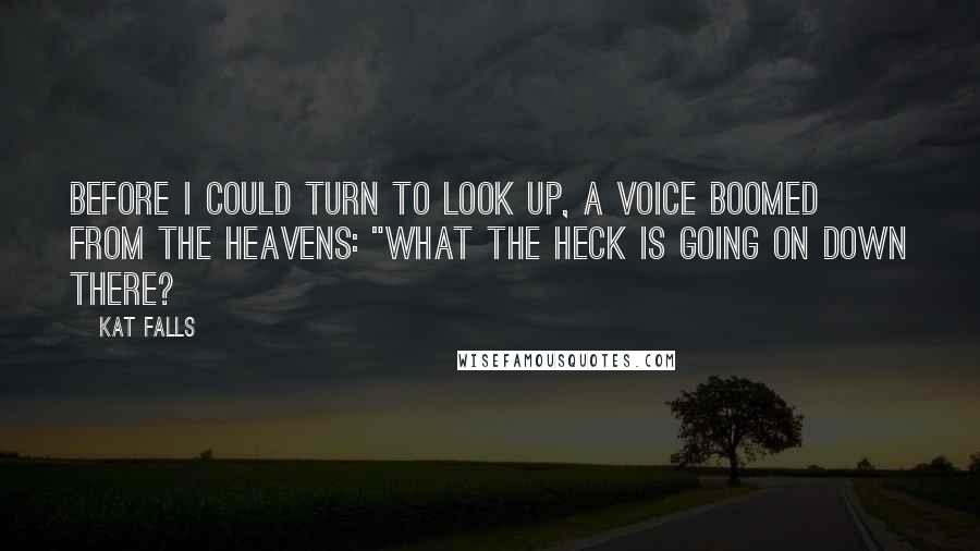 Kat Falls Quotes: Before I could turn to look up, a voice boomed from the heavens: "What the heck is going on down there?