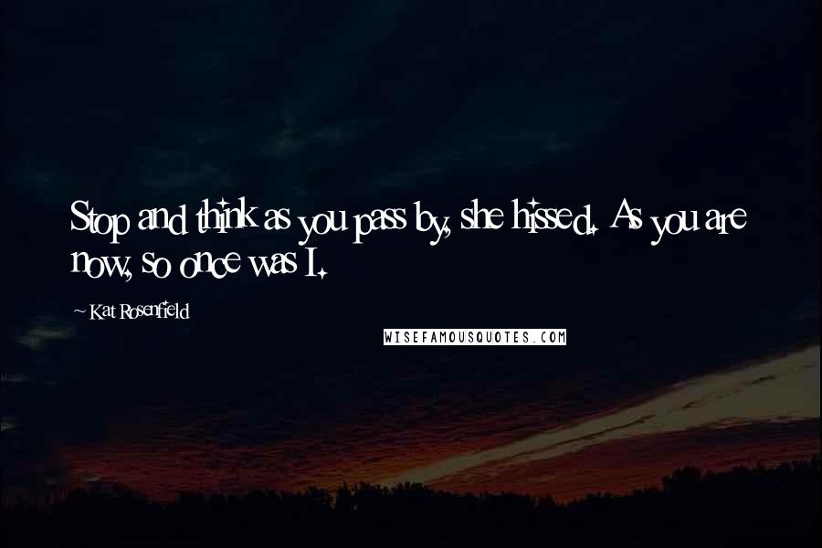 Kat Rosenfield Quotes: Stop and think as you pass by, she hissed. As you are now, so once was I.