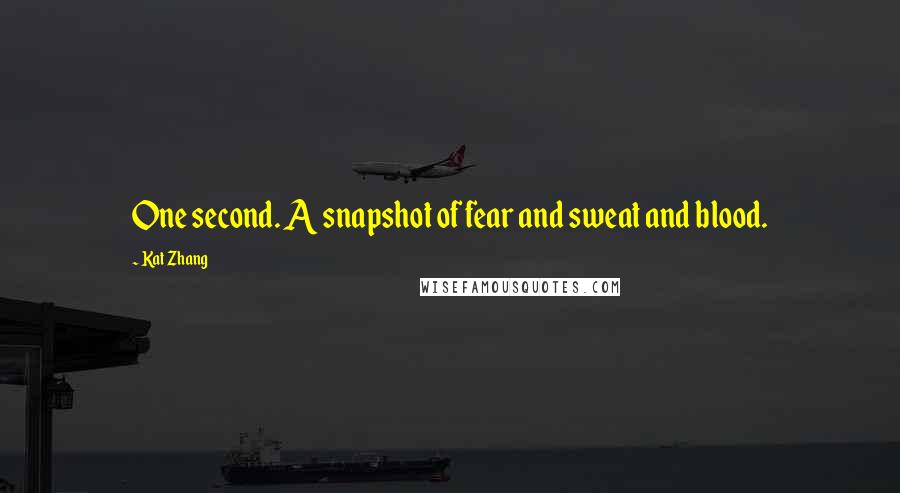 Kat Zhang Quotes: One second. A snapshot of fear and sweat and blood.