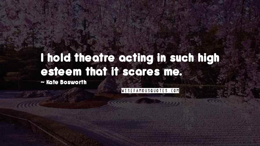 Kate Bosworth Quotes: I hold theatre acting in such high esteem that it scares me.