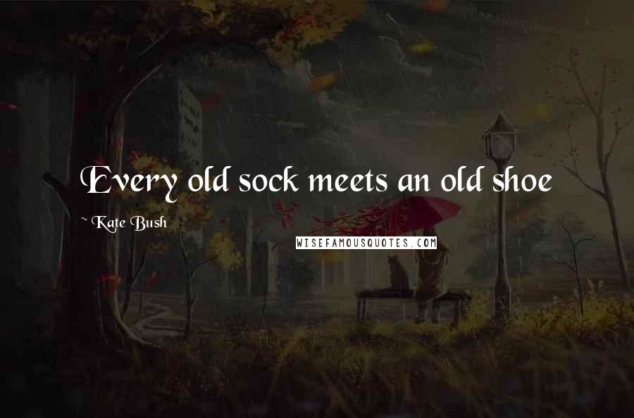 Kate Bush Quotes: Every old sock meets an old shoe