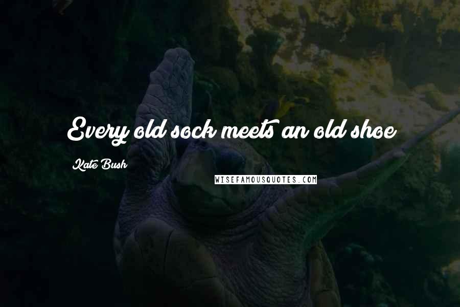 Kate Bush Quotes: Every old sock meets an old shoe