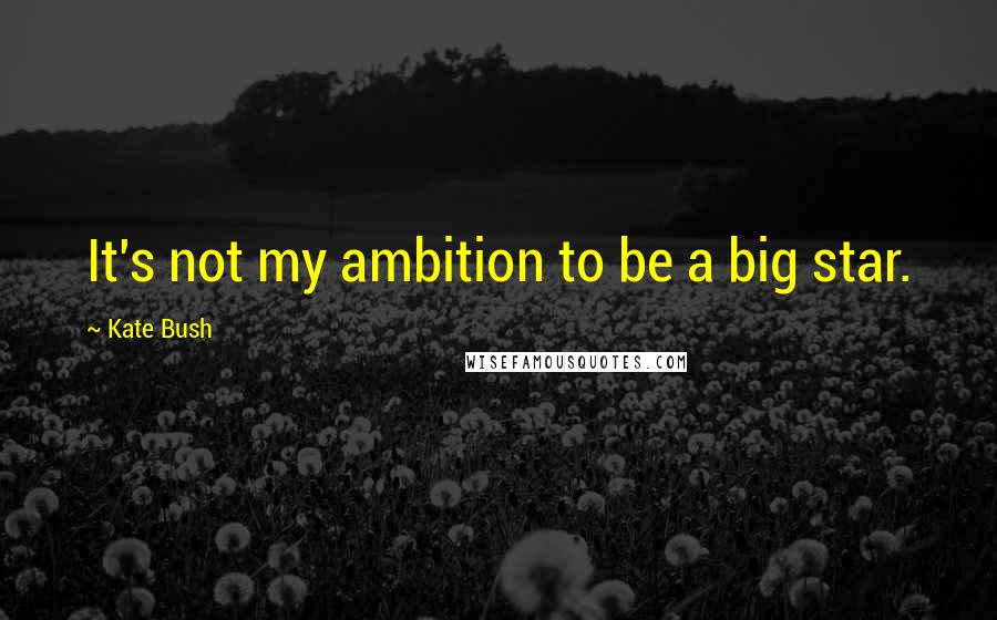 Kate Bush Quotes: It's not my ambition to be a big star.