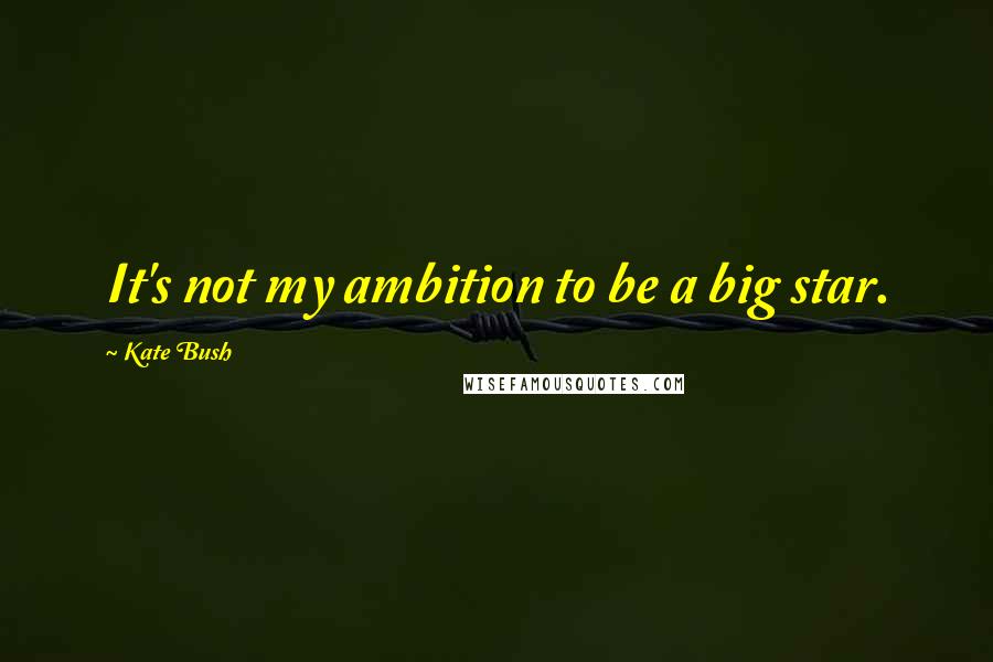 Kate Bush Quotes: It's not my ambition to be a big star.
