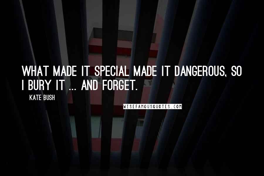 Kate Bush Quotes: What made it special made it dangerous, so I bury it ... and forget.