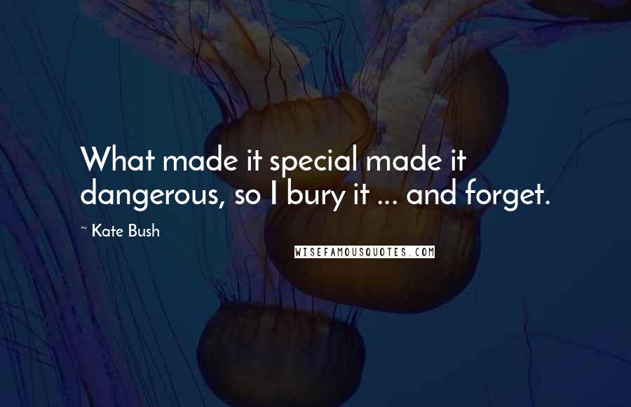 Kate Bush Quotes: What made it special made it dangerous, so I bury it ... and forget.