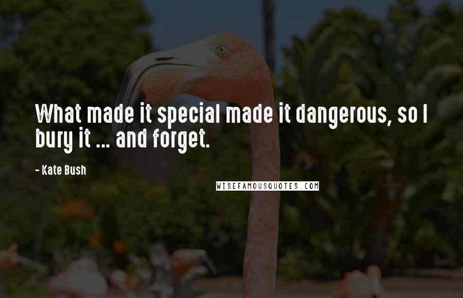 Kate Bush Quotes: What made it special made it dangerous, so I bury it ... and forget.