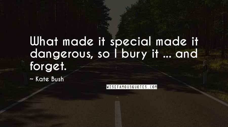 Kate Bush Quotes: What made it special made it dangerous, so I bury it ... and forget.