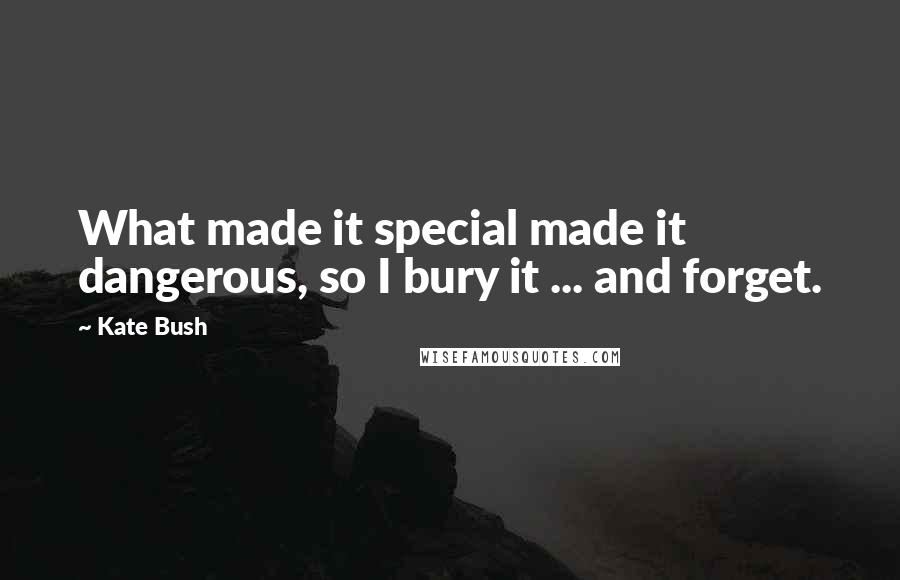 Kate Bush Quotes: What made it special made it dangerous, so I bury it ... and forget.