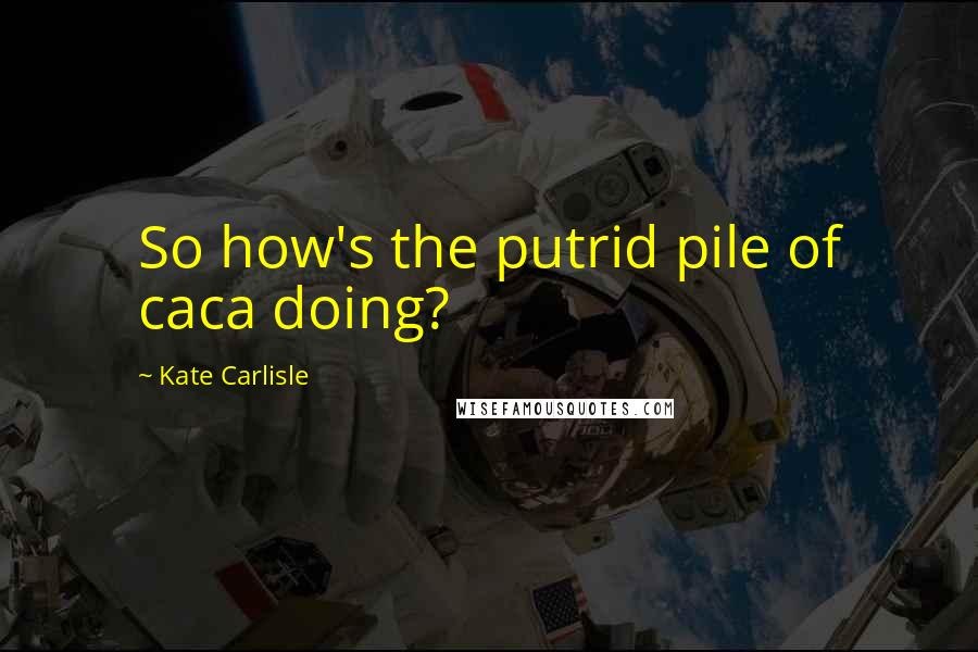 Kate Carlisle Quotes: So how's the putrid pile of caca doing?