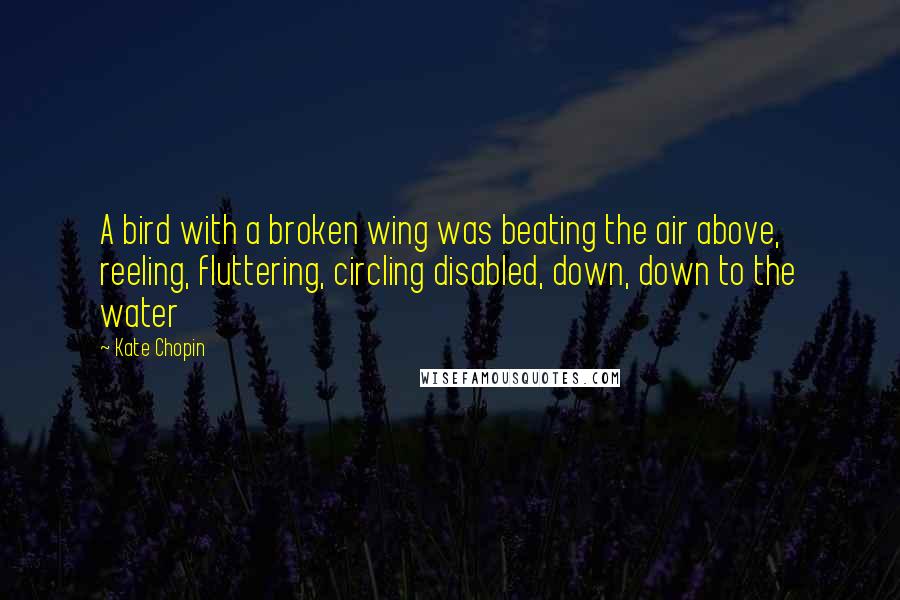 Kate Chopin Quotes: A bird with a broken wing was beating the air above, reeling, fluttering, circling disabled, down, down to the water