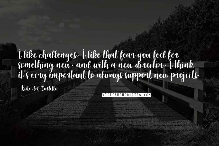 Kate Del Castillo Quotes: I like challenges, I like that fear you feel for something new, and with a new director, I think it's very important to always support new projects.