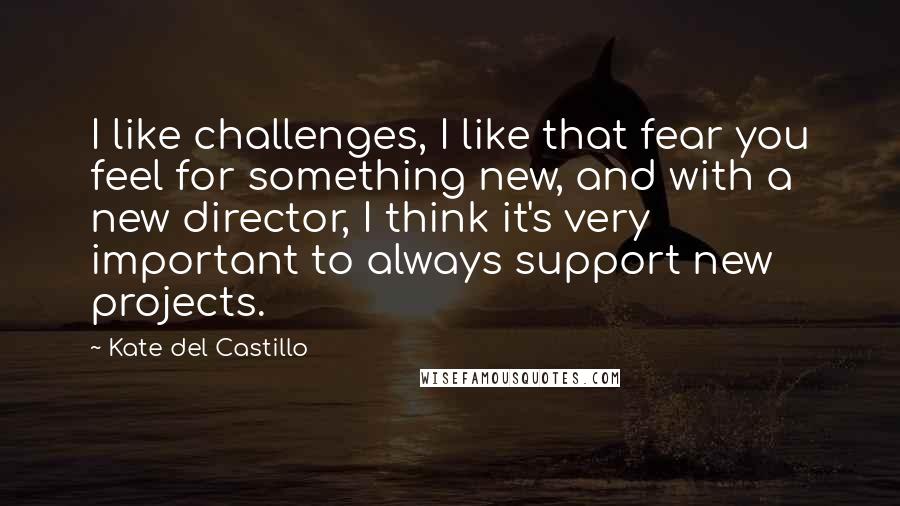Kate Del Castillo Quotes: I like challenges, I like that fear you feel for something new, and with a new director, I think it's very important to always support new projects.