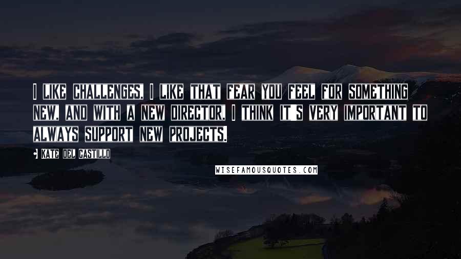 Kate Del Castillo Quotes: I like challenges, I like that fear you feel for something new, and with a new director, I think it's very important to always support new projects.