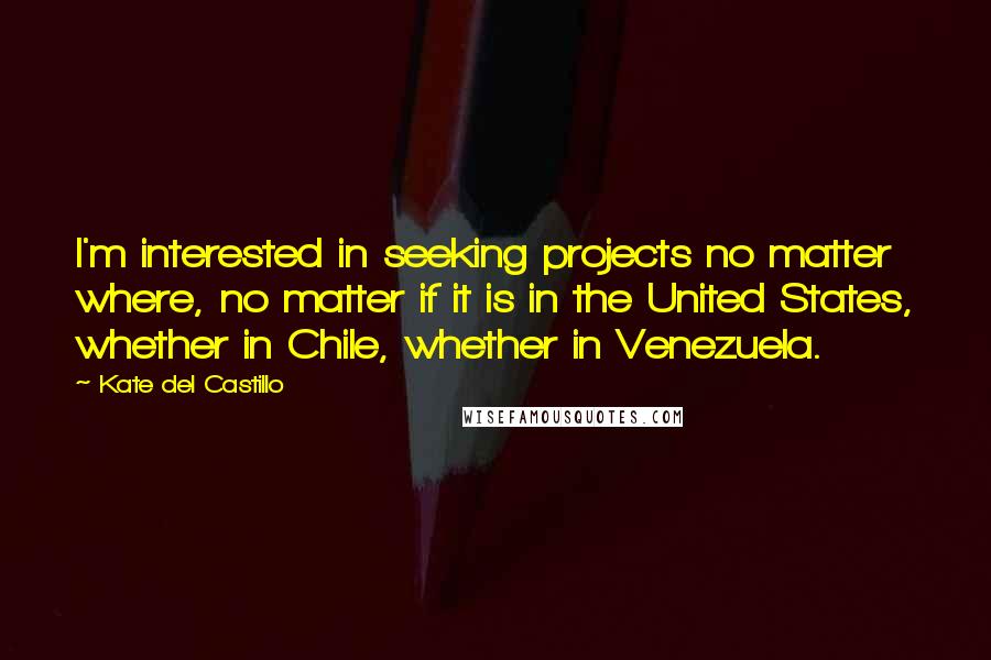 Kate Del Castillo Quotes: I'm interested in seeking projects no matter where, no matter if it is in the United States, whether in Chile, whether in Venezuela.