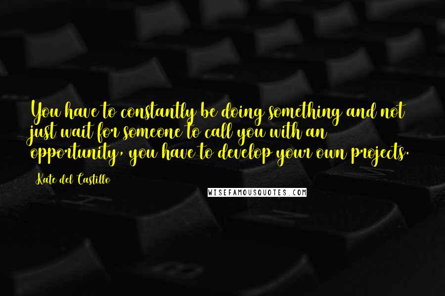 Kate Del Castillo Quotes: You have to constantly be doing something and not just wait for someone to call you with an opportunity, you have to develop your own projects.