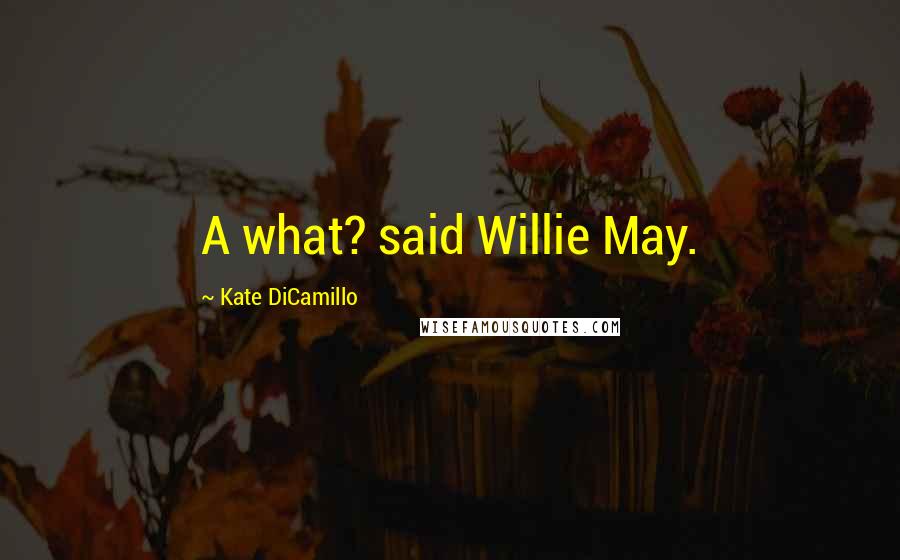 Kate DiCamillo Quotes: A what? said Willie May.