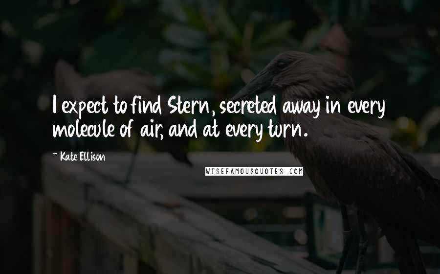Kate Ellison Quotes: I expect to find Stern, secreted away in every molecule of air, and at every turn.