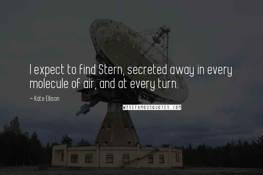 Kate Ellison Quotes: I expect to find Stern, secreted away in every molecule of air, and at every turn.