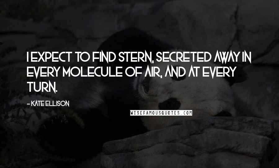 Kate Ellison Quotes: I expect to find Stern, secreted away in every molecule of air, and at every turn.