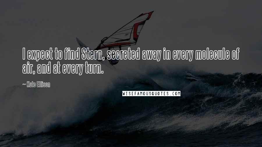 Kate Ellison Quotes: I expect to find Stern, secreted away in every molecule of air, and at every turn.