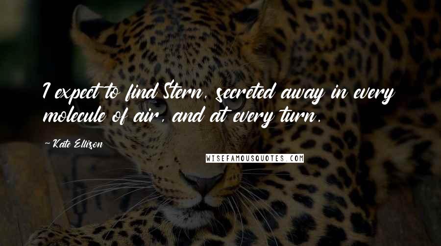 Kate Ellison Quotes: I expect to find Stern, secreted away in every molecule of air, and at every turn.