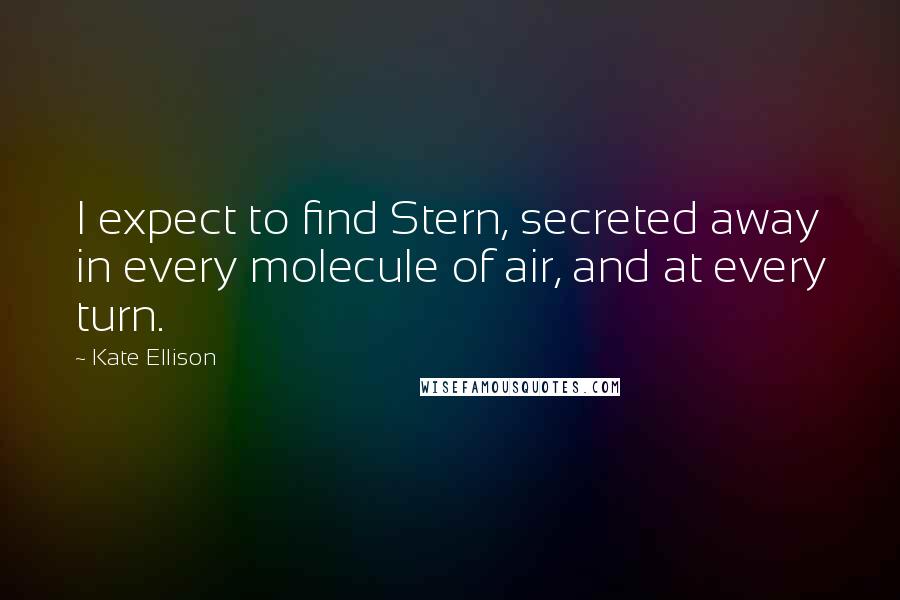 Kate Ellison Quotes: I expect to find Stern, secreted away in every molecule of air, and at every turn.