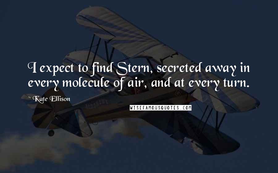 Kate Ellison Quotes: I expect to find Stern, secreted away in every molecule of air, and at every turn.