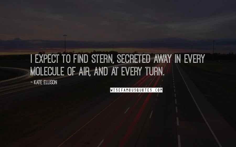 Kate Ellison Quotes: I expect to find Stern, secreted away in every molecule of air, and at every turn.