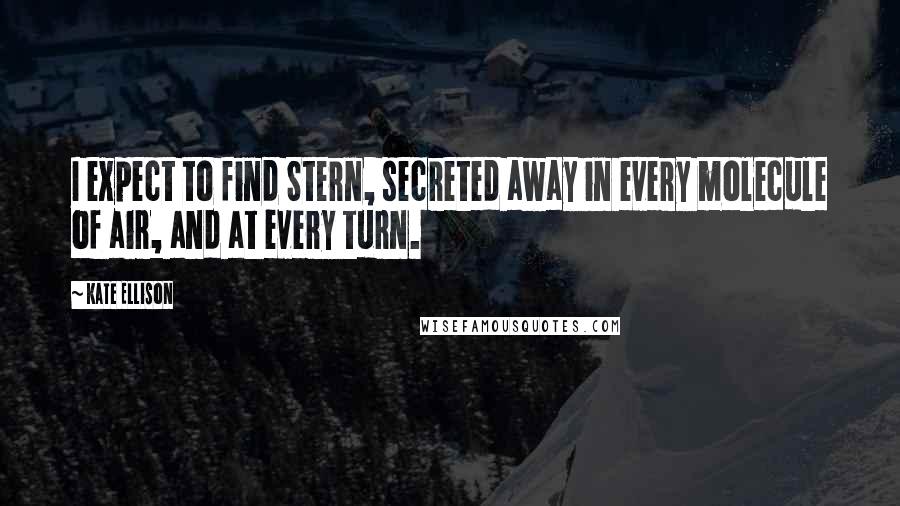 Kate Ellison Quotes: I expect to find Stern, secreted away in every molecule of air, and at every turn.