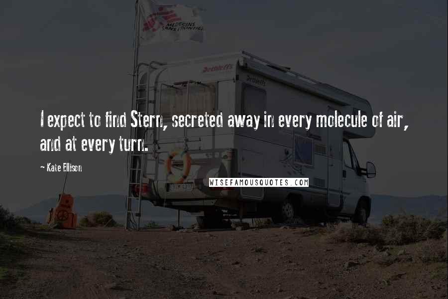 Kate Ellison Quotes: I expect to find Stern, secreted away in every molecule of air, and at every turn.