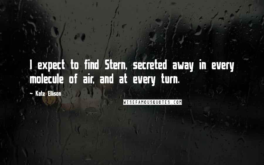 Kate Ellison Quotes: I expect to find Stern, secreted away in every molecule of air, and at every turn.