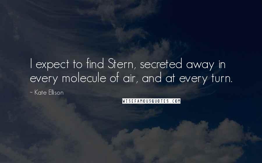 Kate Ellison Quotes: I expect to find Stern, secreted away in every molecule of air, and at every turn.