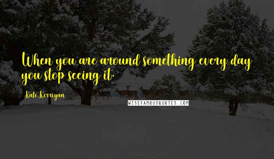 Kate Kerrigan Quotes: When you are around something every day you stop seeing it.